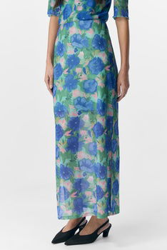  Rok Multi